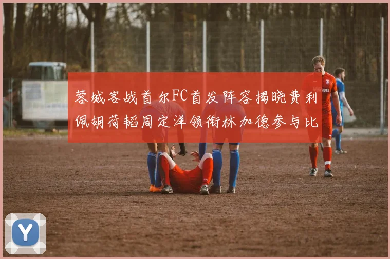 蓉城客战首尔FC首发阵容揭晓费利佩胡荷韬周定洋领衔林加德参与比赛