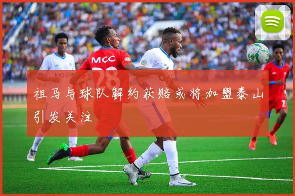 祖马与球队解约获赔或将加盟泰山引发关注